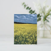 Rapeseed, Wiltshire, Engeland Briefkaart (Staand voorkant)