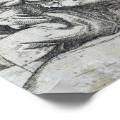 Raphaël - het wonderbaarlijke visconcept poster (Hoek)