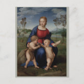 Raphael Madonna van de Goldfinch Briefkaart (Voorkant)