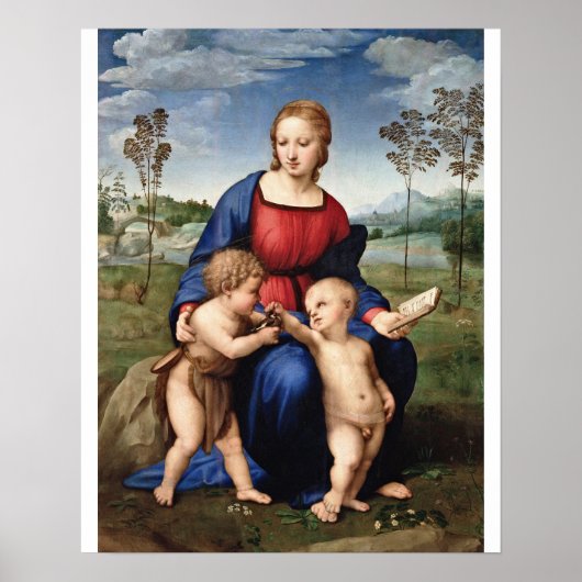 Raphael - Madonna van de Goldfinch Poster (Voorkant)