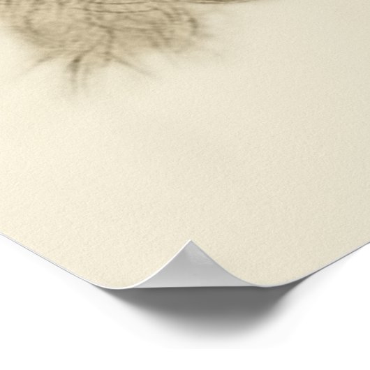 Raphael Poster (Hoek)