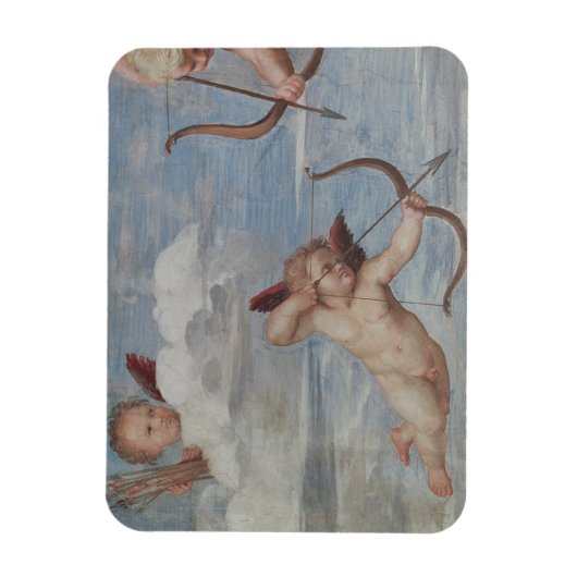 Raphael | Triomf van Galatea Magneet (Verticaal)
