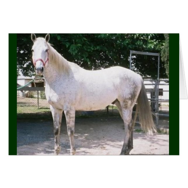 Rapide (Devant horizontal)