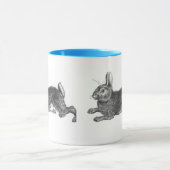 Rapide comme une tasse de lapin (Centre)