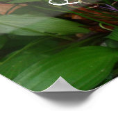 Rapidement arriver rapidement aller sagesse poster (Coin)