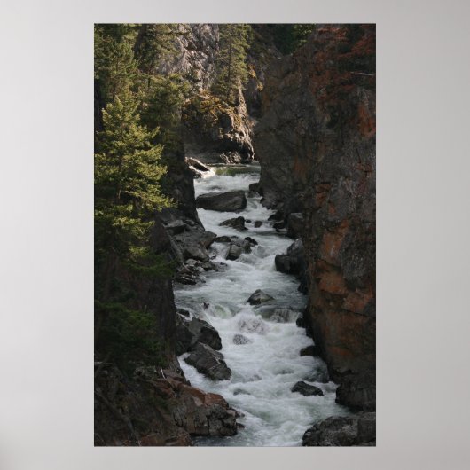 Rapiden in BC Poster (Voorkant)