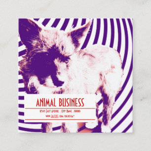 rappel de rendez-vous pour animal de compagnie car
