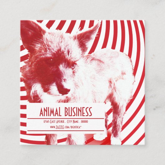 rappel de rendez-vous pour un animal de compagnie (Devant)