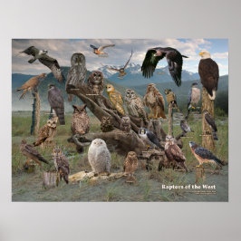 Rapporteurs van het Westen 2019 Poster