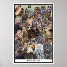 Rapporteurs van het Westen