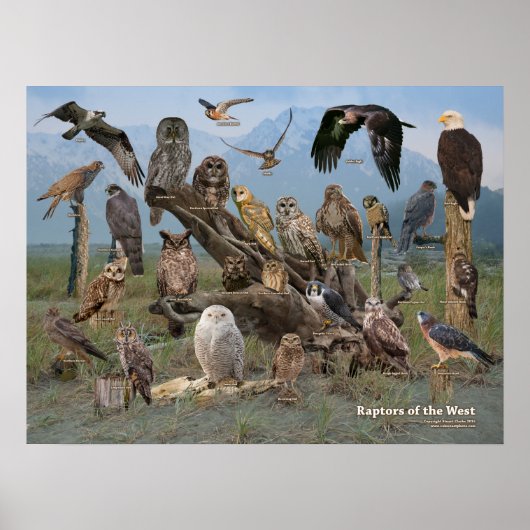 Rapporteurs van het Westen Poster (Voorkant)