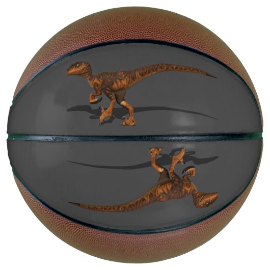 Raptor 1 3D Basketbal (Voorkant)