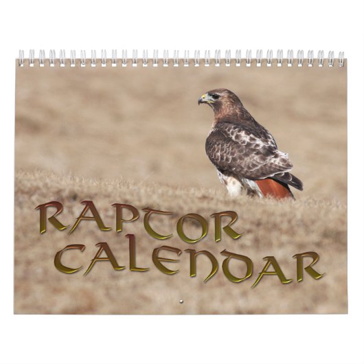 Raptor Kalender (Hoes)