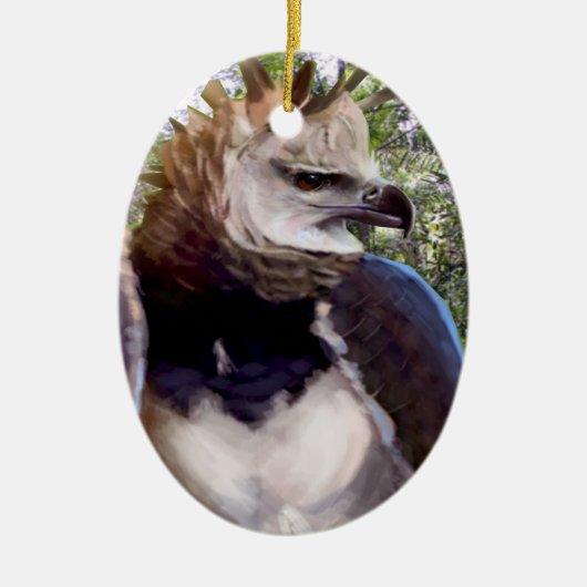 Raptor Keramisch Ornament (Voorkant)