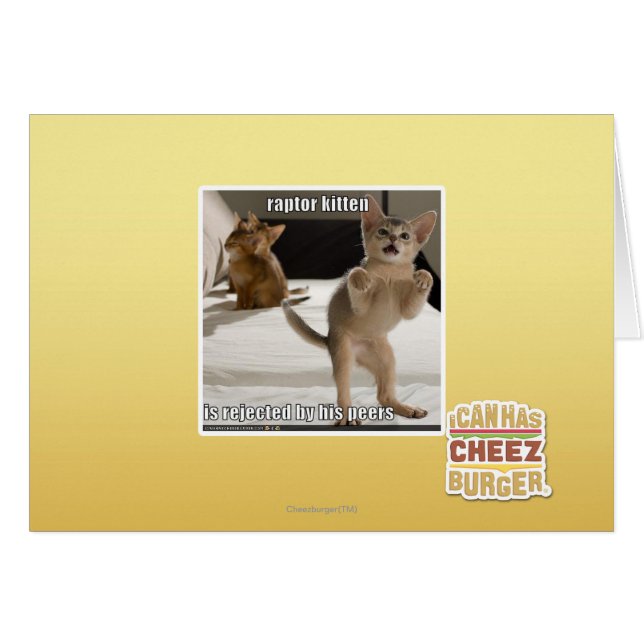 Raptor Kitten (Voorkant Horizontaal)