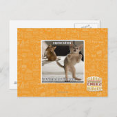 Raptor Kitten Briefkaart (Voorkant / Achterkant)