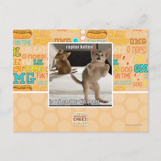 Raptor Kitten Briefkaart (Voorkant)