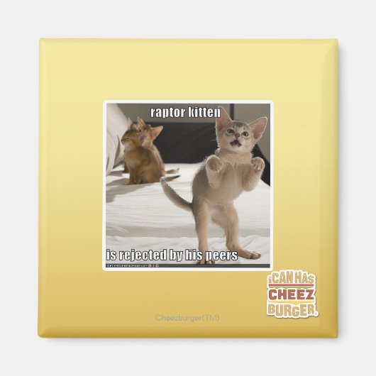 Raptor Kitten Magneet (Voorkant)