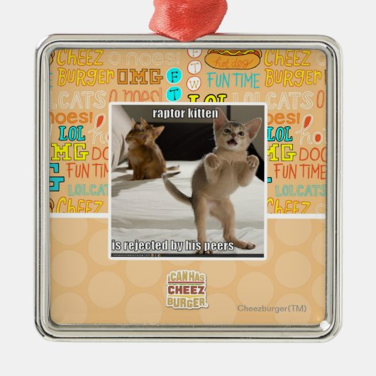 Raptor Kitten Metalen Ornament (Voorkant)