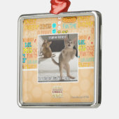 Raptor Kitten Metalen Ornament (Links)