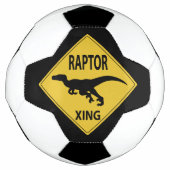 Raptor Xing (Devant)