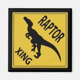 Raptor Xing Magneet