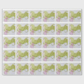 Rapunzel Cadeaupapier (Vlak)