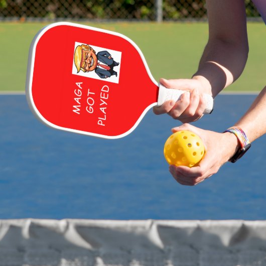 Raquette de pickleball (Insitu)