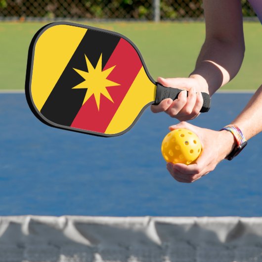 Raquette de pickleball (Insitu)