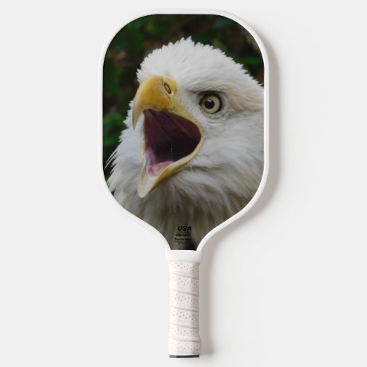 Raquette De Pickleball Aigle (Recto)