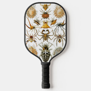 Raquette De Pickleball Arachnides par Ernest Haeckel illustration vintage