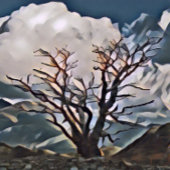 RAQUETTE DE PICKLEBALL ARBRE DE MONTAGNE