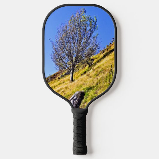 RAQUETTE DE PICKLEBALL ARBRE SOLITAIRE (Recto)