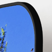 RAQUETTE DE PICKLEBALL ARBRE SOLITAIRE (Détail gauche)