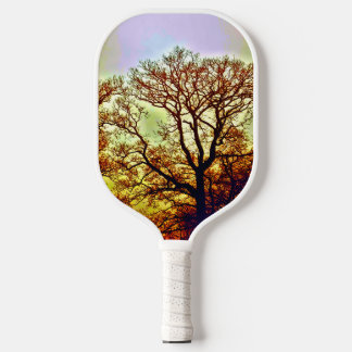 RAQUETTE DE PICKLEBALL ARBRES SOUS LE SOLEIL BRUMEUX