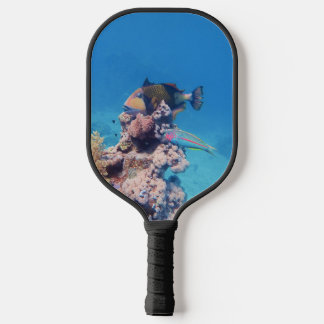 Raquette De Pickleball Baliste sur récif corallien - Conception photograp