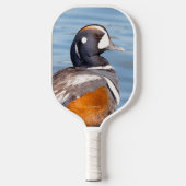 Raquette De Pickleball Beau canard arlequin sur le rocher (Recto)