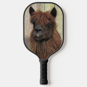 Raquette De Pickleball Belle pédale Alpaca Pickleball