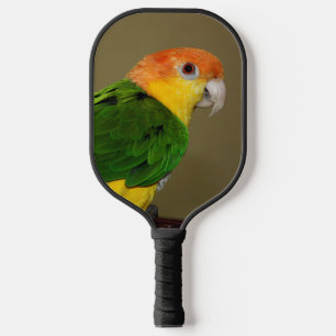 Raquette De Pickleball Belle Perroquet caïque à ventre blanc Poser