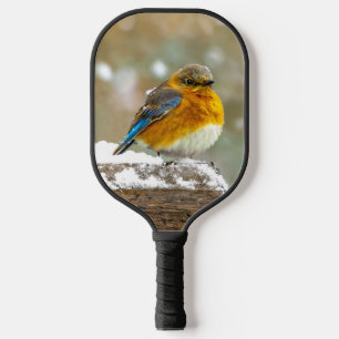 Raquette De Pickleball Bleuet de l'Est en neige - Photo originale
