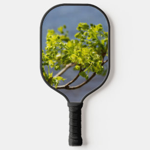 Raquette De Pickleball Branche verte mignonne dans le vent