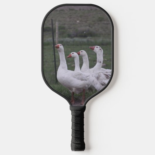 Raquette De Pickleball Canard (Recto)