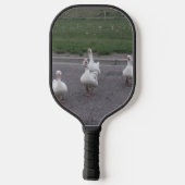 Raquette De Pickleball Canard (Verso)