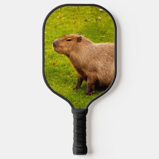 Raquette De Pickleball Capybara (Recto)