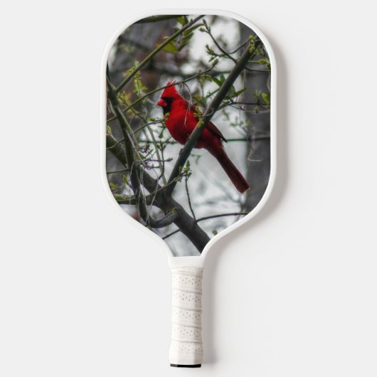 Raquette De Pickleball Cardinal (Verso)