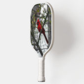 Raquette De Pickleball Cardinal (Gauche)