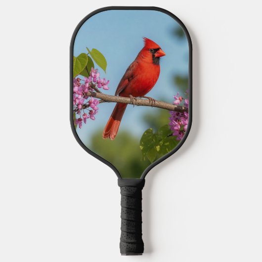 Raquette De Pickleball Cardinal sur une branche de Redbud (Recto)