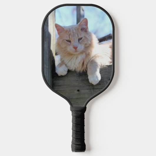 Raquette De Pickleball Cat (Recto)