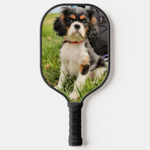 Raquette De Pickleball Cavalier King Charles