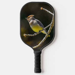 Raquette De Pickleball Cèdre cire Songbird Photo originale Oiseau sauvage